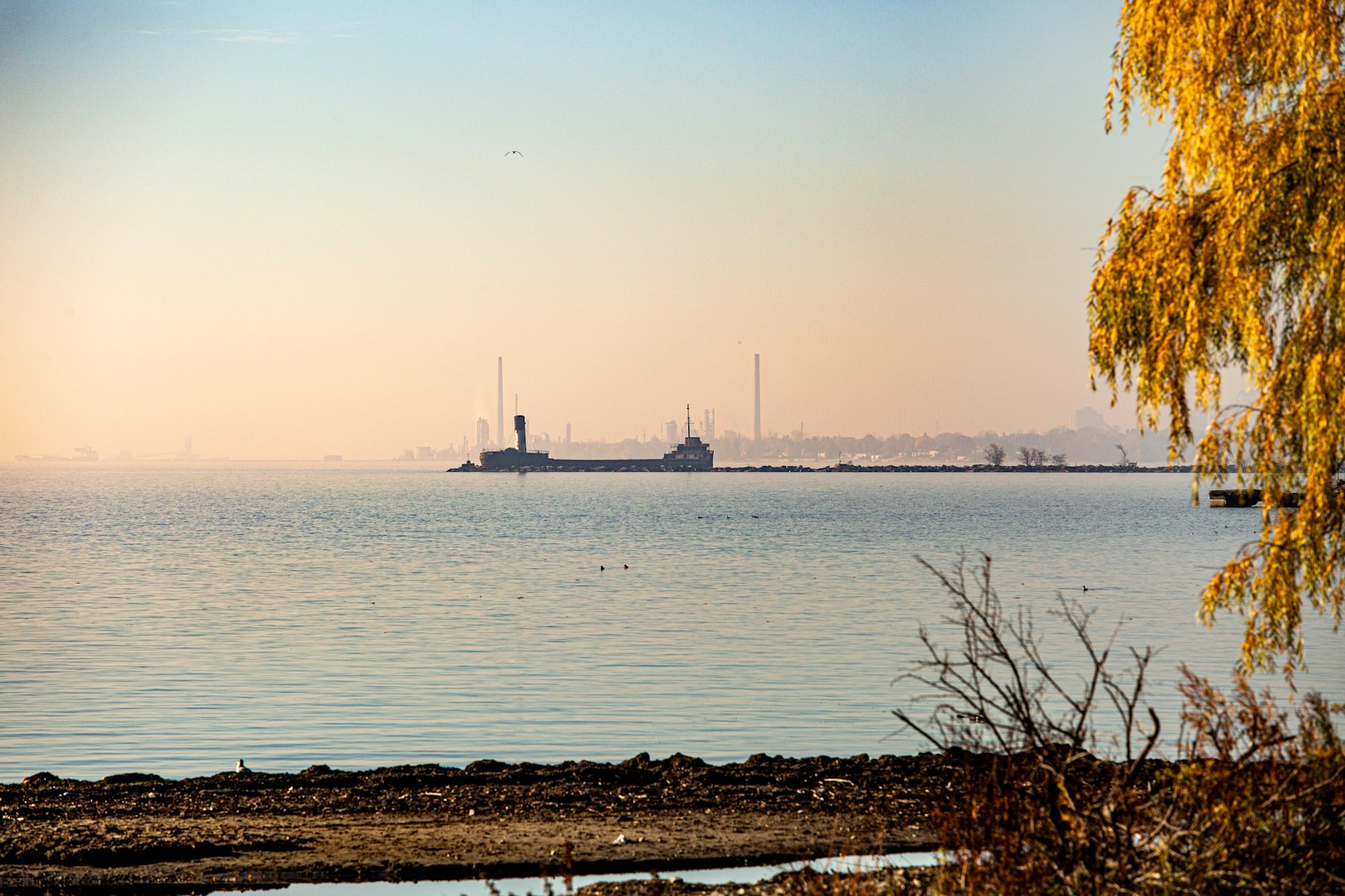 Freighter and waterfront at Port Credit Harbour in Mississauga